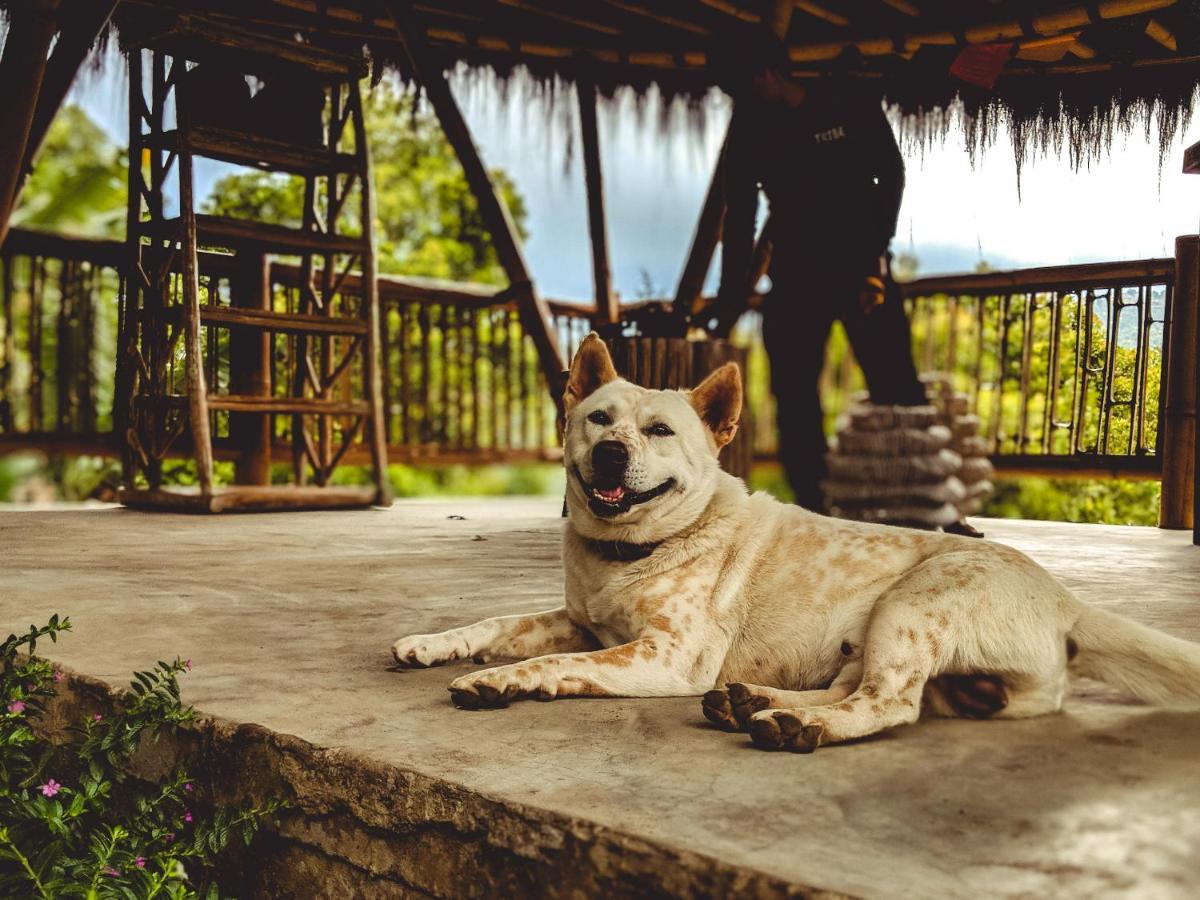 Taman liburan Desa Eko Munduk (Bali)