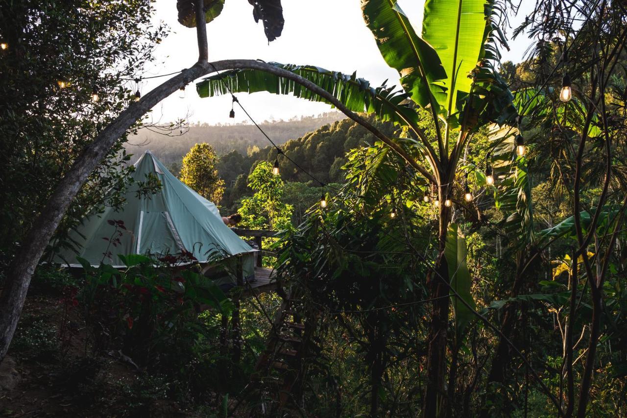Desa Eko Taman liburan Munduk (Bali)